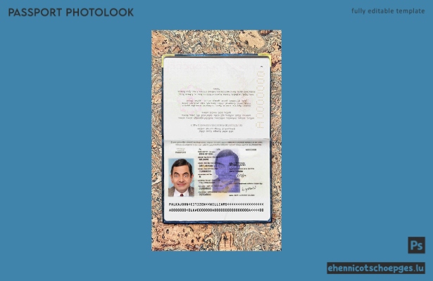 Beispielansicht eines Passfotos aus Sri Lanka